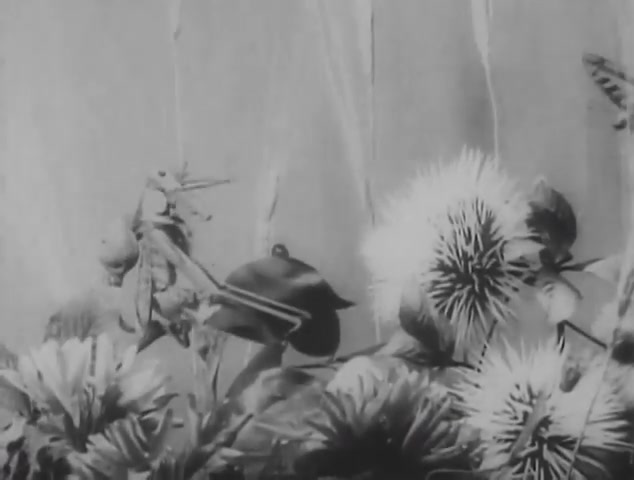 Стрекоза и муравей мультфильм 1913 Старевич