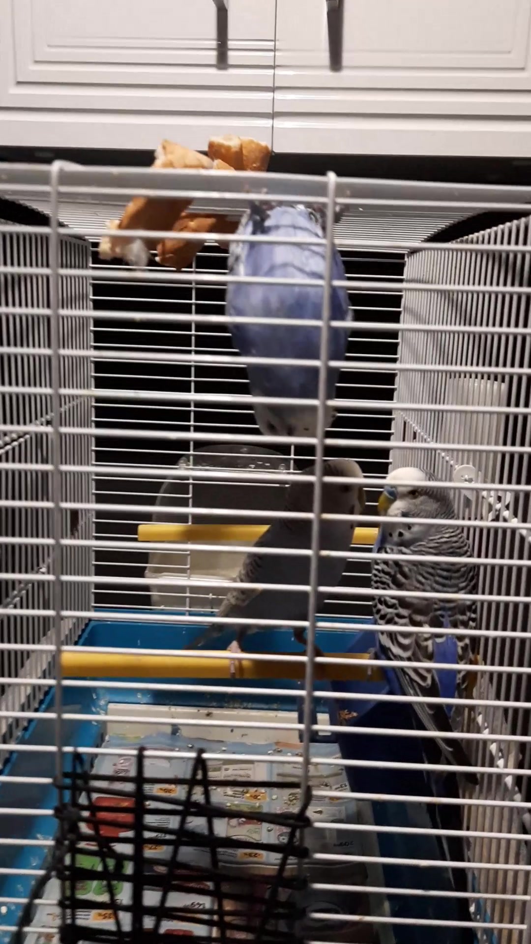 Нарушитель личных границ