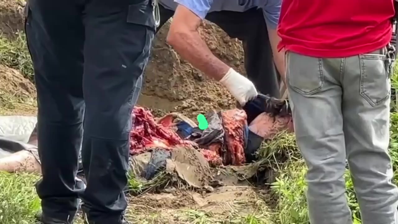 Россия, найдена в овраге.