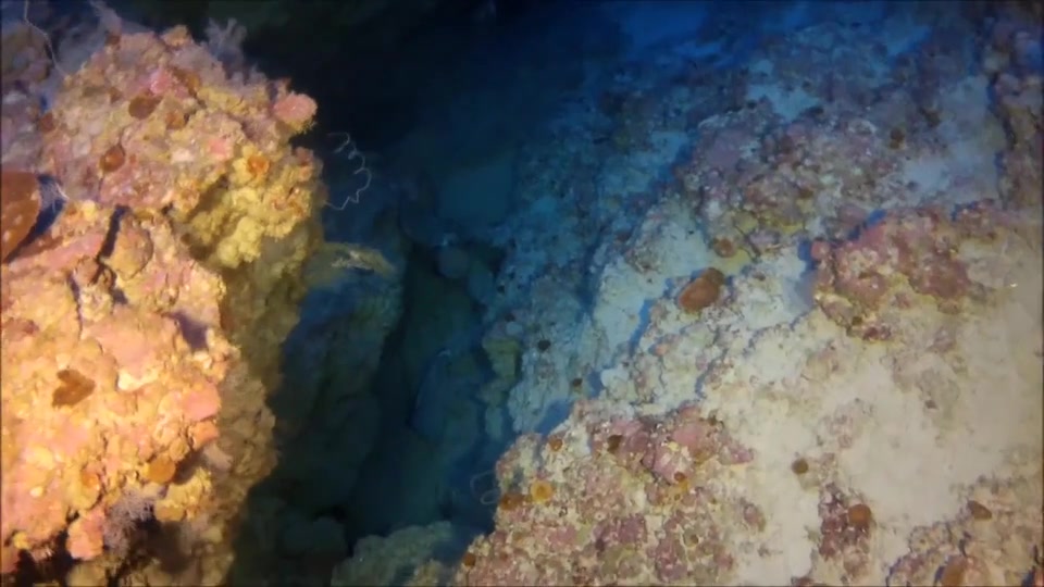 Погибшие аквалангисты.