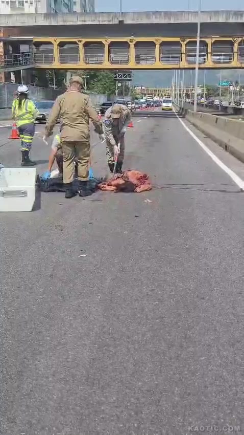 Жертва аварии