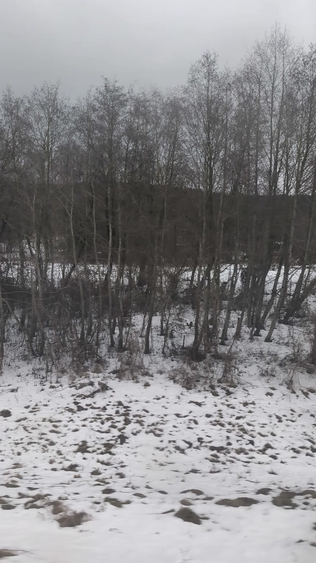 Вид из окна поезда зимой 