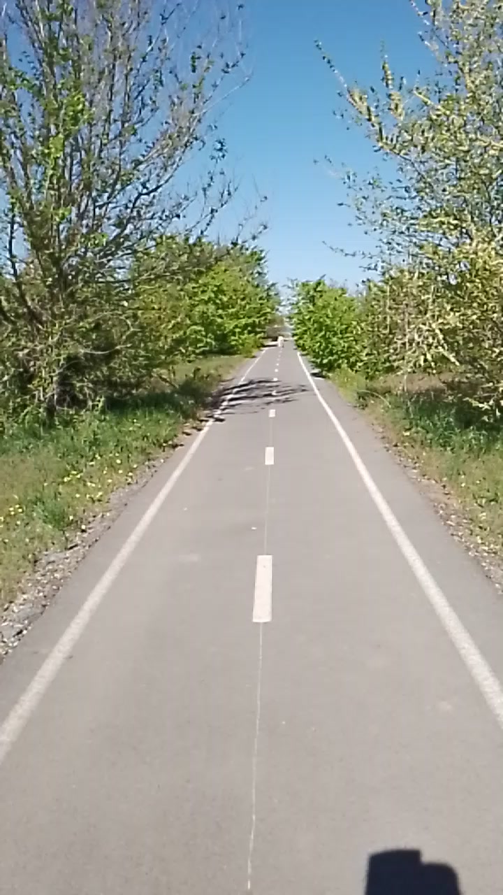 Подзыв в замедленной съемке