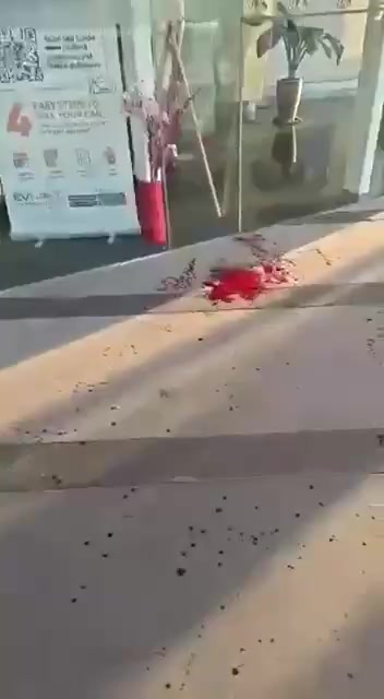 Порубленный