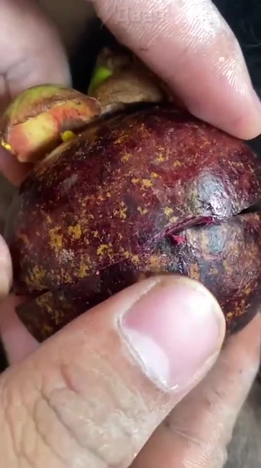 Гастрономия...)