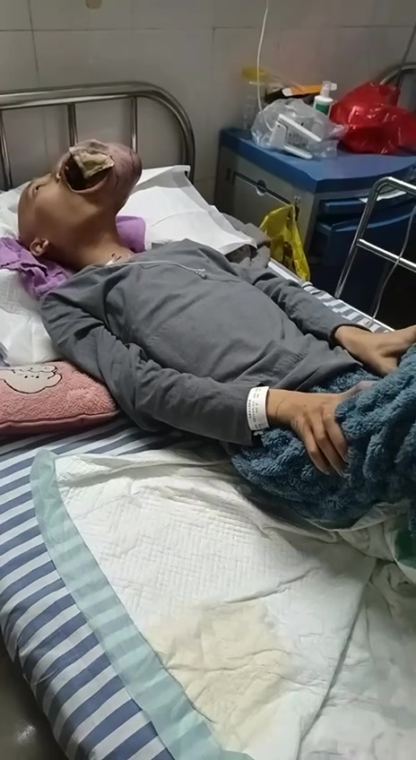 Мальчие акула