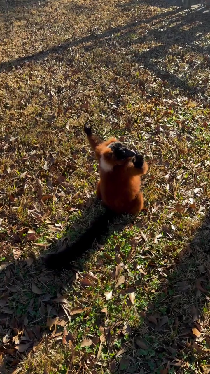 Збагойствие