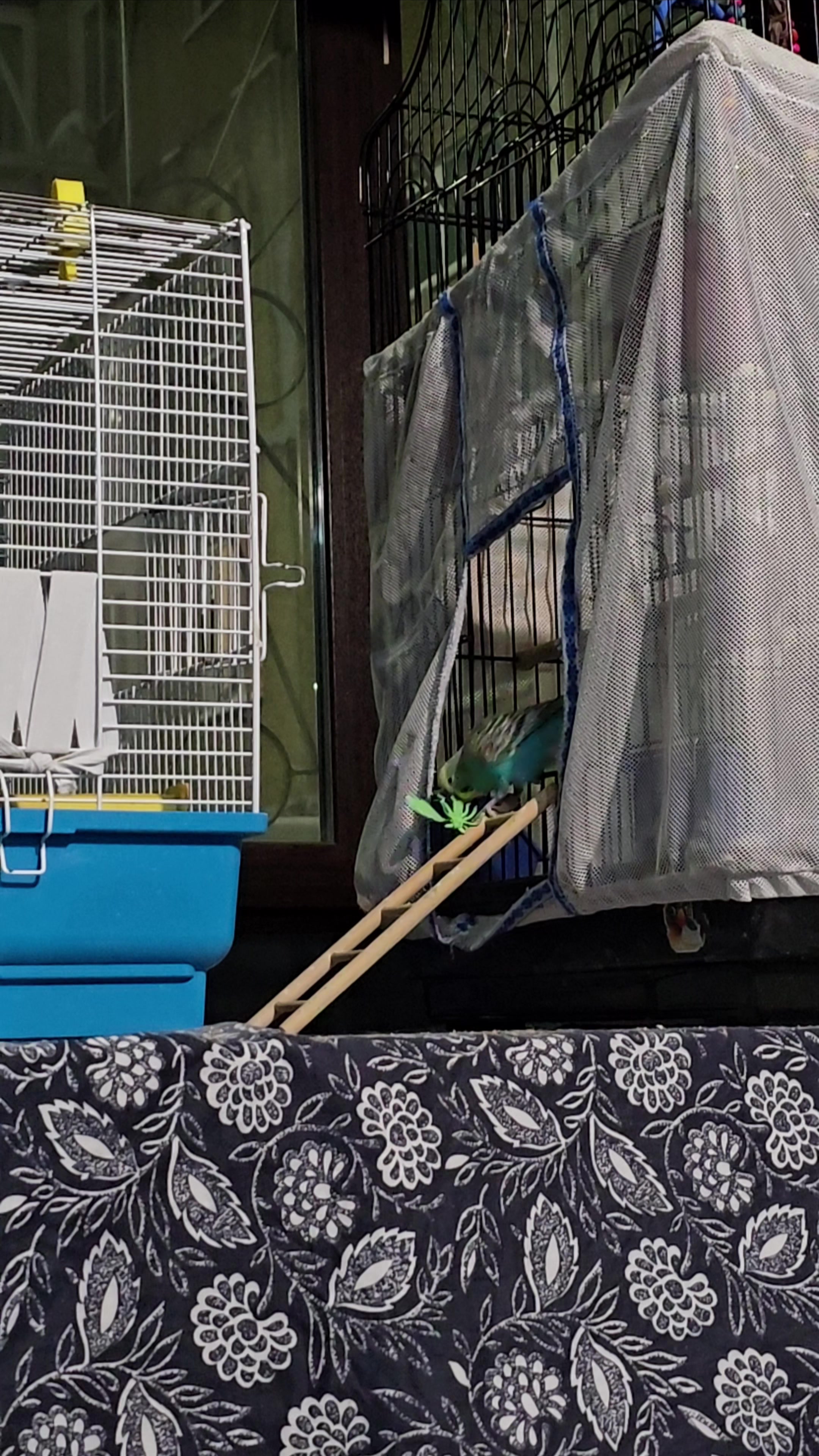 Входит и выходит