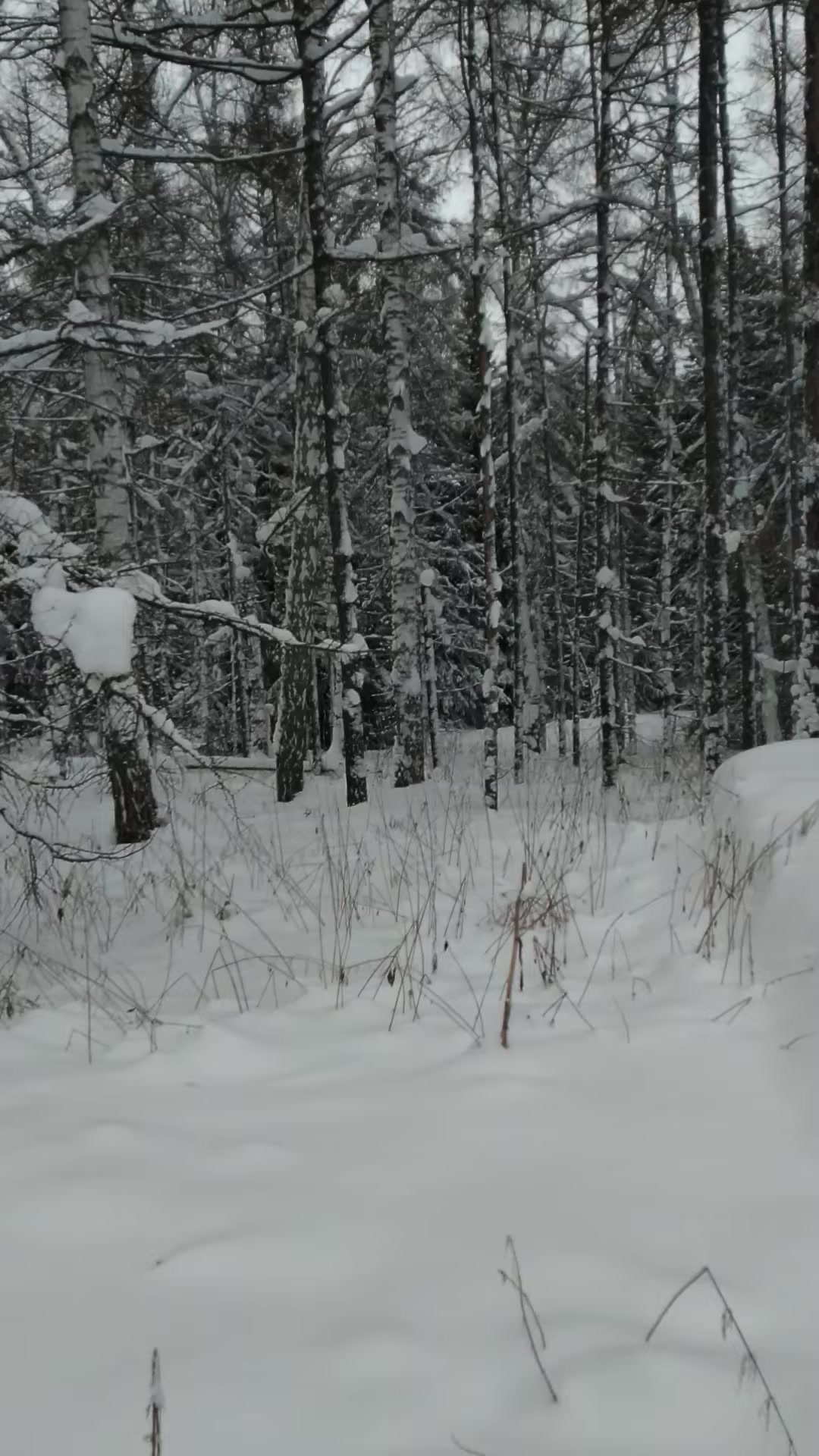 Ноябрь 2022 - 3