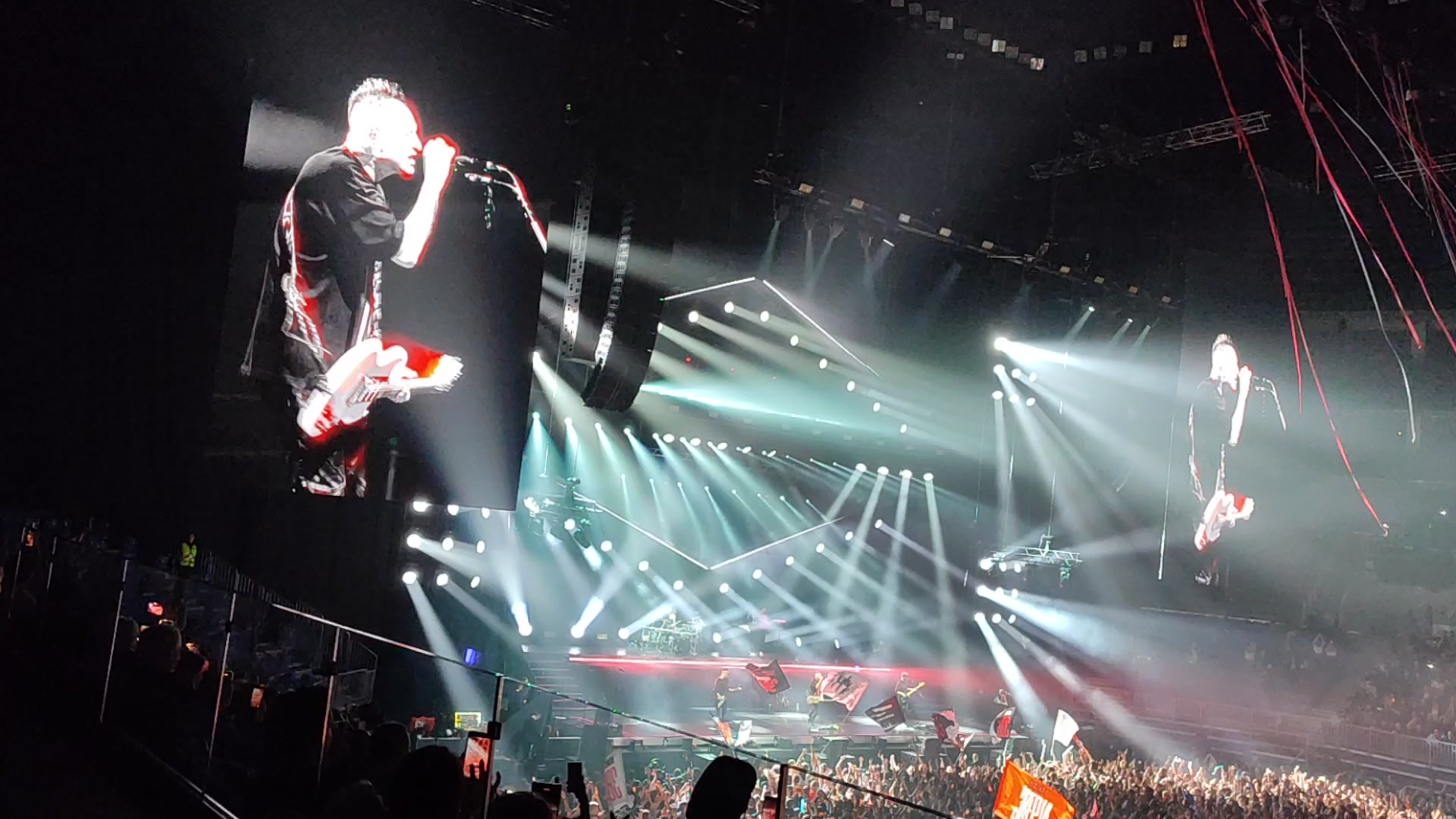 Звери СКА Арена Районы-Кварталы