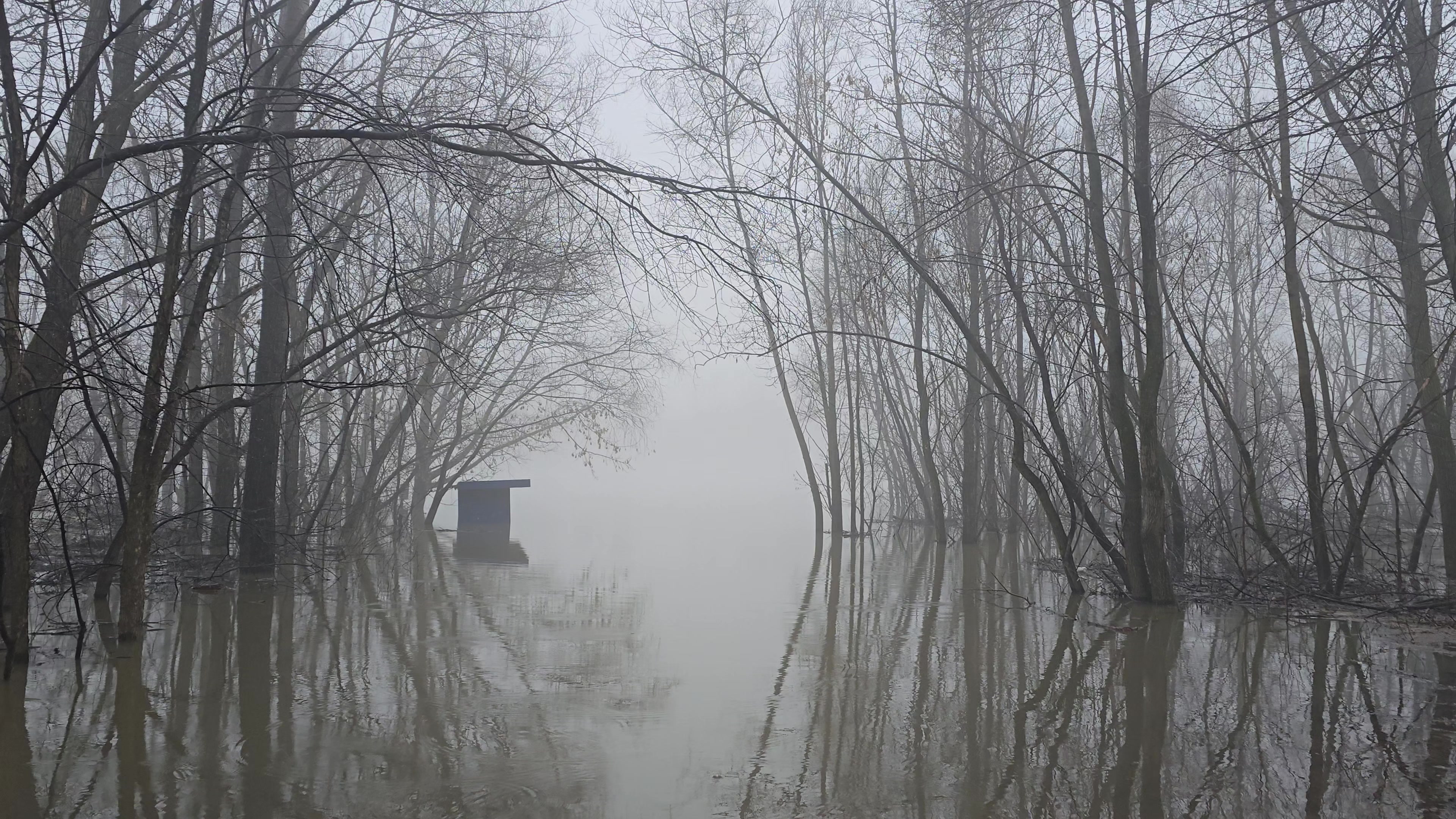 остановочка