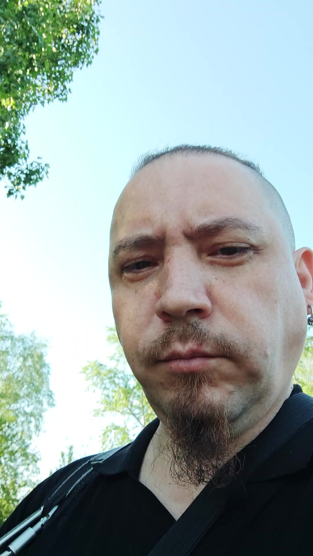 Пищик из одуванчика