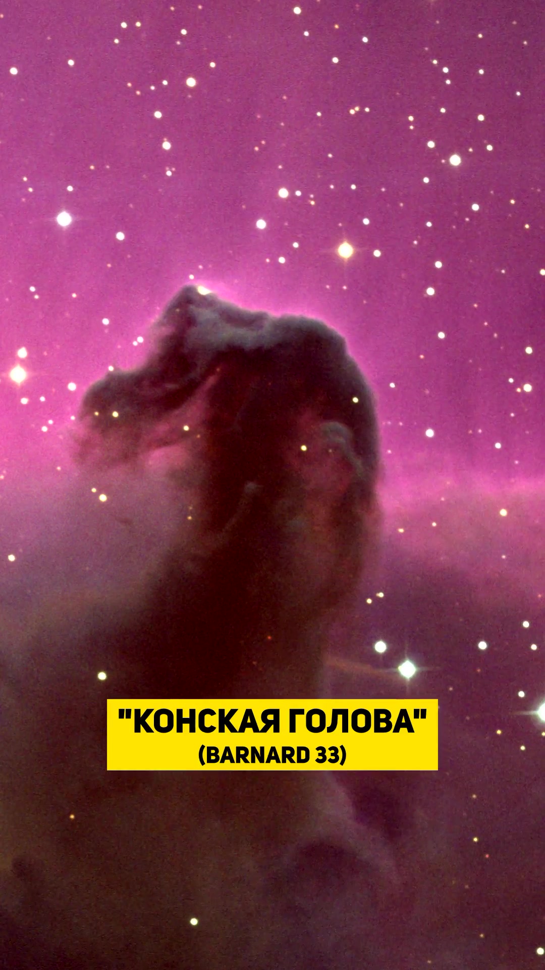 Туманность "Конская Голова" (Barnard 33)