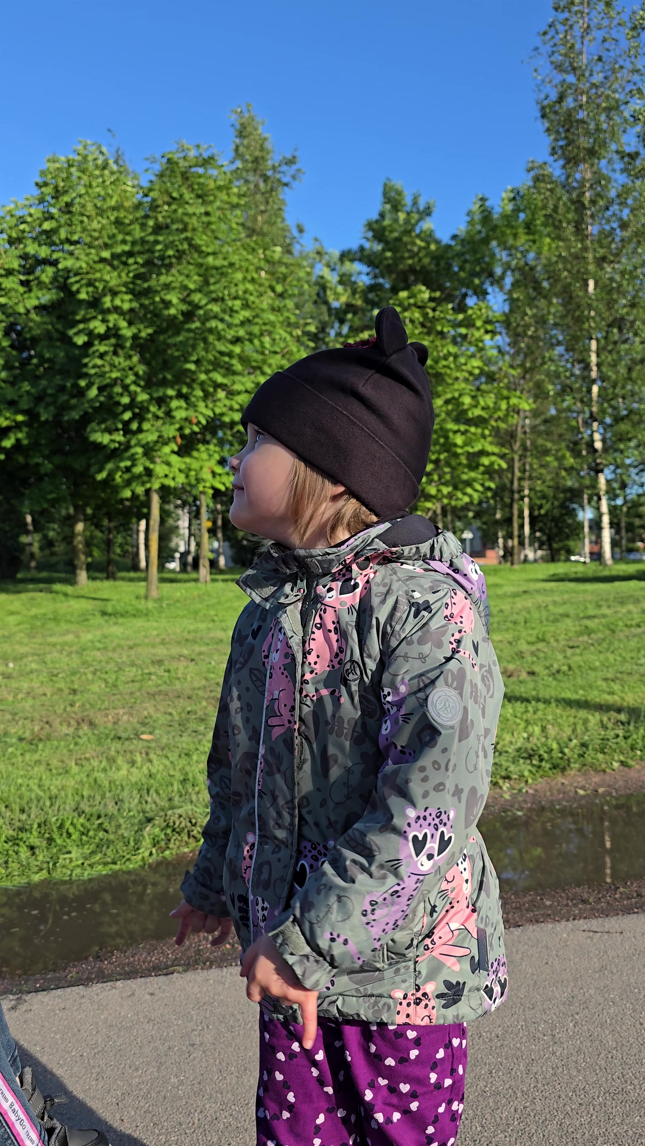 скрим